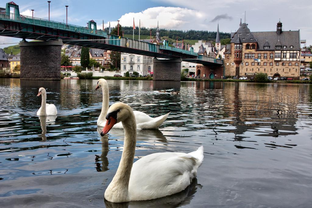 Zimmer Am Markt ทราเบิน-ทราร์บาค ภายนอก รูปภาพ
